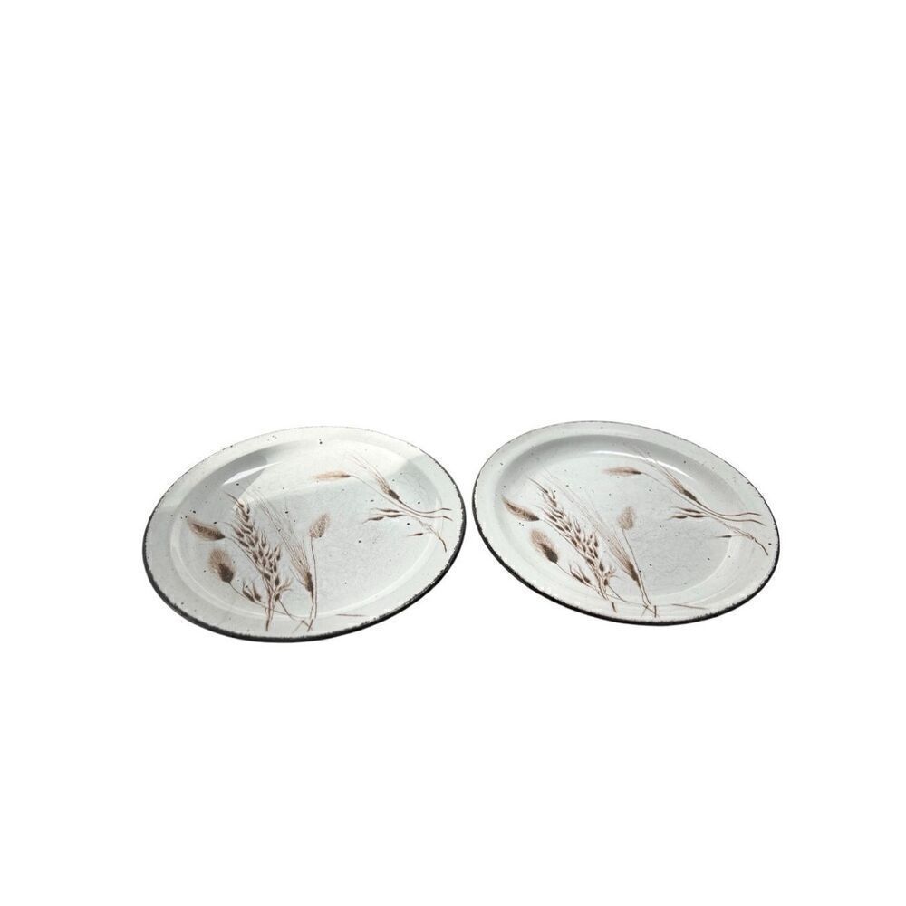 Stonehenge Midwinter Wild Oats 10 1/2" Dinner Plates Set of 2 Some Wear